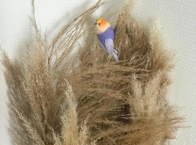 Les Petites Fecampoises By Mathilde Апартаменты *