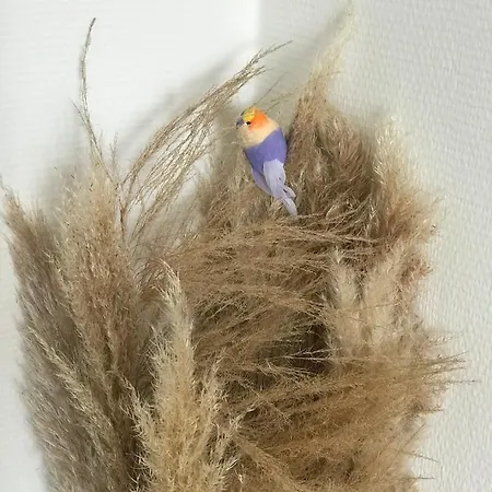 Les Petites Fecampoises By Mathilde Apartman *