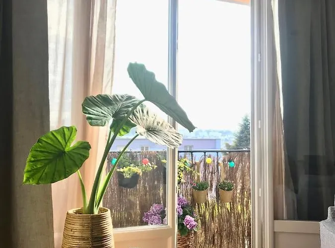 Les Petites Fecampoises By Mathilde 페캉